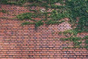 不動産を探すなら別府の専門店へ